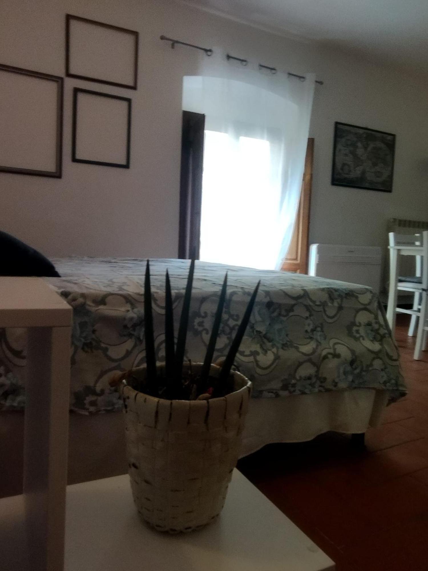 Villa Badia A Ruoti Ngoại thất bức ảnh